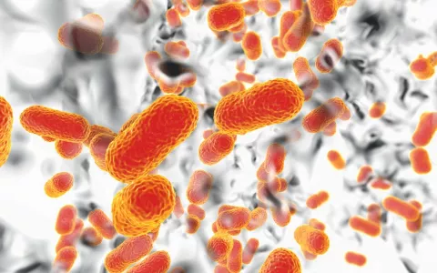 Biofilm de bacterias Acinetobacter baumannii, el agente causal común de infecciones adquiridas por el hospital 3D