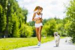 Actividad de paseo y carrera para el perro