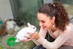 Mujer comprando un conejo como mascota