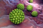 Transmisión y síntomas de la gastroenteritis por rotavirus