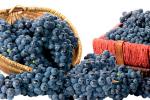 Efectos del vino sobre la salud