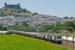 Tren Al Ándalus, viaje de Reyes Tren Al Ándalus
