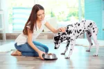 Alimentación e higiene del dálmata Mujer da de comer a su dálmata