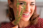 Composición del tomillo y beneficios para la salud Composición del tomillo y beneficios para la salud