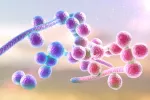 Candida auris: todo lo que debes saber Candida auris