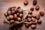 Variedades de castañas y cómo conservarlas