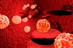 Causas del síndrome de fatiga crónica Virus en sangre
