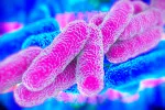 Causas de la legionella Causas de la legionella