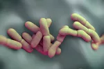 Causas de la peste Bacteria Yersinia pestis causante de la peste