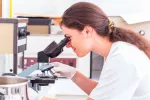 Cómo se hace un tricograma capilar Una profesional sanitaria observa una muestra de cabello al microscopio