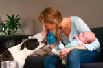 Consejos para favorecer que el perro se adapte al bebé Una mujer atiende a su perro justo antes de dar el biberón a su bebé