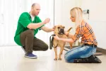Diagnóstico de la sarna en el perro Veterinario haciendo examen completo a un perro