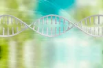 Epigenética: interacción entre genes y medioambiente Epigenética: interacción entre genes y medioambiente
