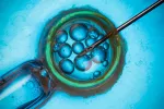 Proceso Fecundación in vivo Fecundación in vivo