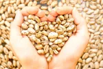 Recomendaciones de consumo de legumbres Legumbres sanas par el consumo