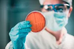 Diagnóstico de la infección por el micoplasma genital Diagnóstico de la infección por el micoplasma genital