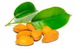 Las almendras mejoran la salud cardiovascular Las almendras mejoran la salud cardiovascular