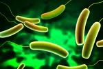 Bacterias intestinales y riesgo de cáncer de mama Bacterias intestinales y riesgo de cáncer de mama