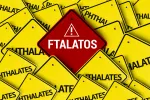 Ftalatos, los tóxicos que nos rodean