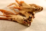 Ginseng Ginseng el mejor estimulante natural