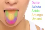 Cómo reconocer el sabor umami Identificación del sabor umami en la lengua