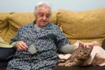 Sedentarismo en la vejez Una anciana sentada en un sofá acaricia a un gato