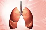Realizan el primer trasplante con un órgano sintético Pulmones y tráquea artificial