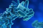 Tratamiento de la legionella Acción del tratamiento de la legionella