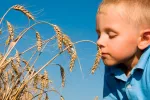 Niño con alergia al trigo