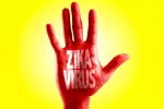 Alerta global de la OMS contra el virus Zika