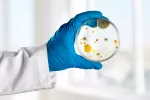 Una bacteria puede causar cáncer gastrointestinal Bacterias
