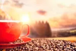 El cambio climático amenaza al 60% de las especies de café Variedad de café silvestre