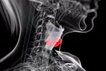 La inhibición de una molécula podría frenar el cáncer de tiroides Ilustración 3d del cáncer de tiroides
