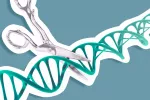 Crean células madre invisibles para el sistema inmune mediante CRISPR Concepto de edición genética CRISPR