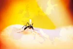 El dengue amenaza a países templados de Europa El dengue amenaza a países templados de Europa