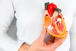 Un fármaco para la artritis podría prevenir la estenosis aórtica Un fármaco para la artritis podría prevenir la estenosis aórtica