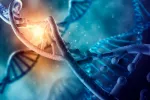 Genética labio leporino Descubren dos variantes genéticas relacionadas con la aparición de labio leporin