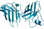 Identifican nuevos genes involucrados en la ELA Identifican nuevos genes involucrados en la ELA