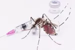 Una nueva vacuna contra el Zika resulta eficaz en el 90% de los casos Vacuna virus del zika