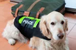 Los perros policía también merecen una buena jubilación Los perros policía también merecen una buena jubilación