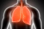 La apnea del sueño en jóvenes incrementa el riesgo de cáncer de pulmón Imagen de los pulmones