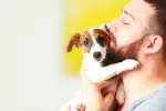 Los solteros con perro tienen menor riesgo cardiovascular Soltero con perro
