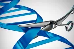 La técnica CRISPR, eficaz en el tratamiento de Duchenne La técnica CRISPR, eficaz en el tratamiento de Duchenne