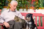 Anciano sentado en un banco junto a un gato y un perro