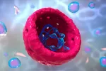 La terapia celular, eficaz en la enfermedad de Crohn La terapia celular, eficaz en la enfermedad de Crohn