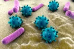 El trasplante fecal podría mejorar síntomas del autismo Bacterias intestinales