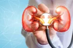 Descubren el primer tratamiento contra el fracaso renal agudo Científico examinando los riñones
