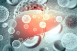 España, líder en tratamientos de última generación contra hepatitis C Problemas en el hígado causado por hepatitis