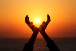 La vitamina D es decisiva para activar el sistema inmune Vitamina d proviene del sol