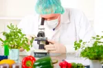 Alimentos transgénicos Alimentos transgénicos